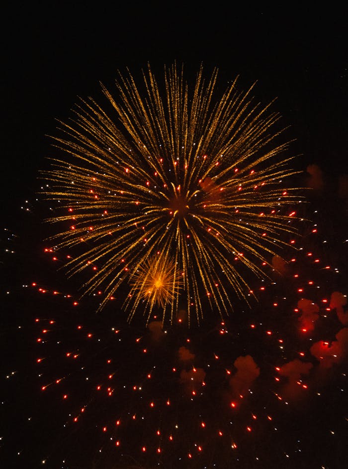 Services-03 Spectacular fireworks lighting up the night sky, adding vibrance and festivity.